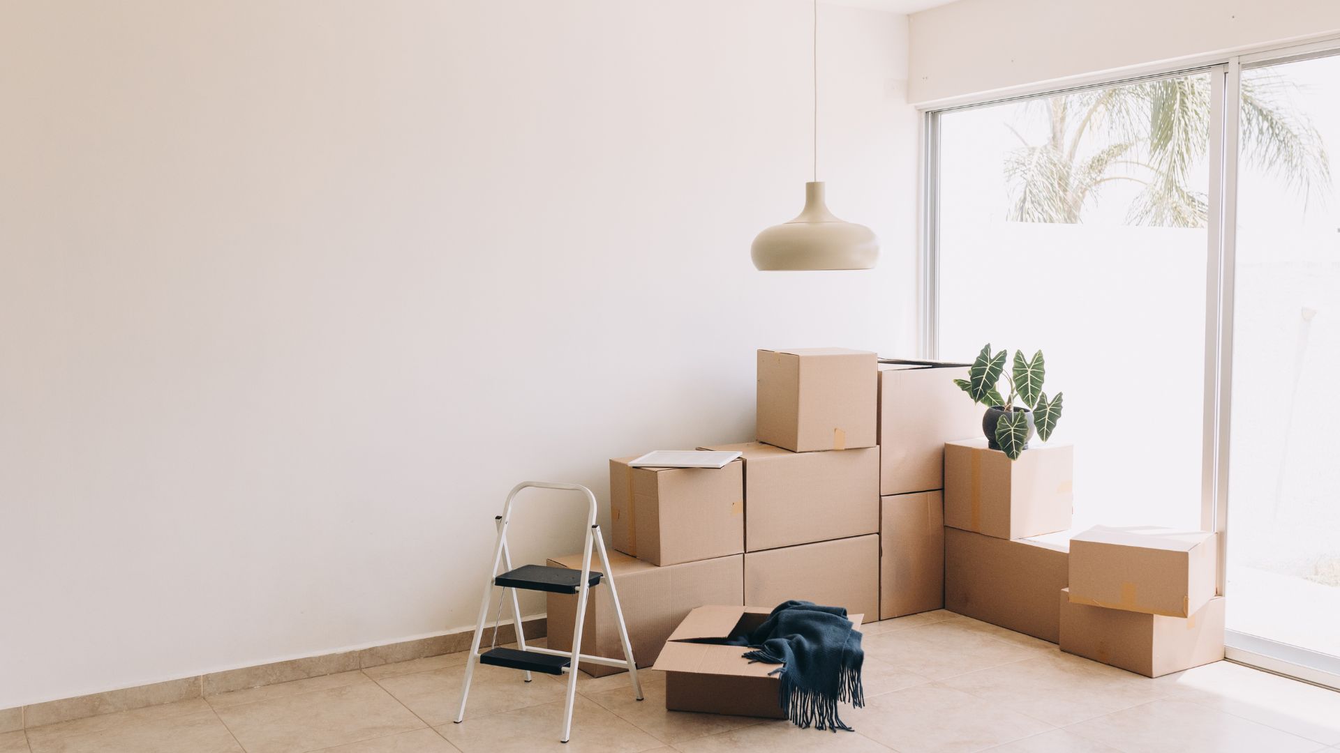 Move in and move out cleaning service